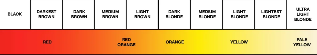 color scale jpg